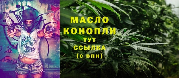 мдпв Вяземский