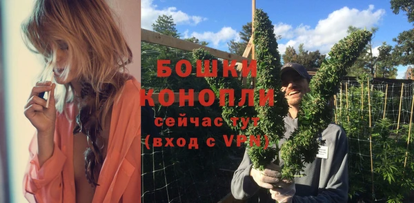мдпв Вяземский