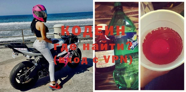 мдпв Вяземский