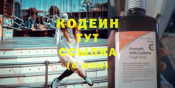 мдпв Вяземский