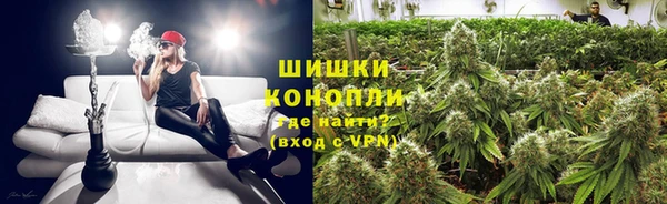 spice Вязьма