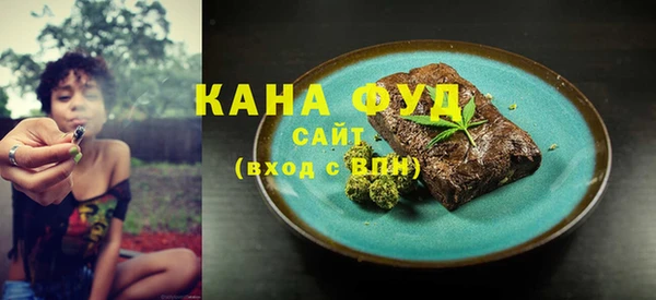 мдпв Вяземский