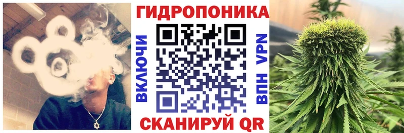 Каннабис AK-47  Купить где  Кузнецк 
